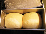 生姜パン