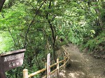 紫陽花+銭=山登り!?